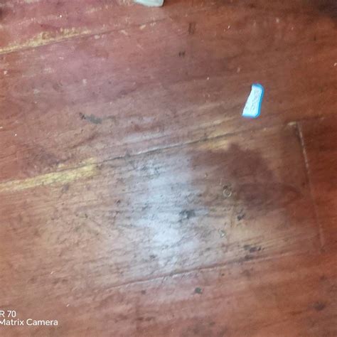 世界杯下单hg网投全站App hg网投